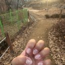 네일;수윤