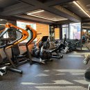 렉스휘트니스 이미지