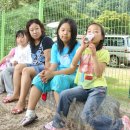 수항초등학교 이미지