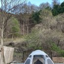 [240412-240414] 홍천 그린필로우 캠핑장 / 비빌언덕 1번 사이트 이용