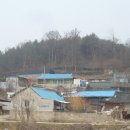 종암1리(벌말) 이미지