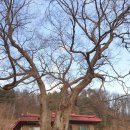 대석2리 상촌계곡 | 양평 강상면 대석 1리 마을(대감) vs 대석 2리 마을(백석골마을)-양근김씨 은거해 대감마을, 마을 뒤 큰...