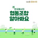 협동조합 다다 이미지
