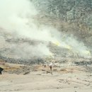 이오목장 이미지