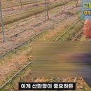 필름하우스