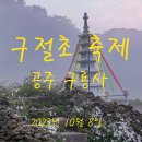 구절초-공주 구룡사 이미지