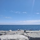 Day trip 당일여행 다녀 왔어요 이미지