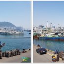 충무동해안시장 이미지