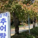 곰내추어탕 이미지