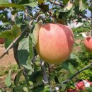 연두농장 이미지