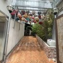 포 36 거리 이미지
