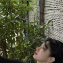 뽀글이헤어앞 이미지