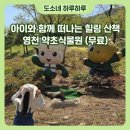 약초와산이야기 - 홍천군 | 영천약초식물원 입장료 주차 무료! 아이와 보현산 자연휴양림 코스로 추천