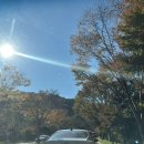 경충대로 11 | 2025/11월 화담숲 방문 후기 (25주 임산부)