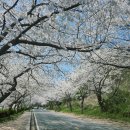 강가 가든 | 나주 한수제 벚꽃 맛집 금성산가든 ｜ 웨이팅 시간·주차 팁 정리