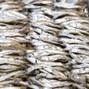 지족어촌체험마을 이미지