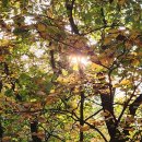 어르신돌봄센터 이미지