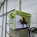 수정벌마야 이미지