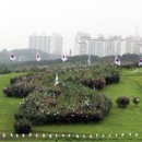 무궁화로_2 이미지