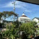 홍예민박 이미지