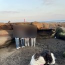 산과바다사이 이미지