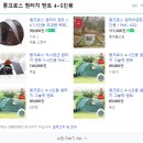 그늘막5 이미지