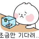달콤노리터 이미지
