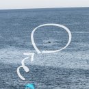 1014 | 한경] 제주도전기자전거 “노을해안 1014 전기바이크” 이용후기 :: 제주액티비티, 제주서쪽가볼만한곳