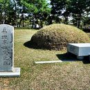 이화우 이미지