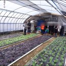 길중농장 이미지