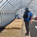 동해리 석정 이미지