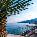 도마태평양약국 이미지