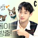 냥집사