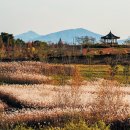 여강길(9코스 너른들길) 이미지