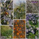 행복한실버홈 | {부산, 요양원, 요양센터, 추천!} 해운대실버홈 부산 해운대실버홈, 신뢰와 정성의 공간