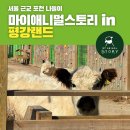 새 조형물 및 분수 | 서울 근교 나들이 '마이애니멀 스토리 in 평강랜드' 추천 및 구경순서