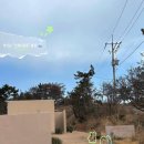 해리애견 | [포항 구룡포] 애견카페 해리샵 🌊