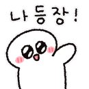 테드헤어 - 용인시 처인구 | 테드헤어