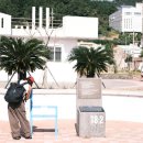 신양항 광장 이미지