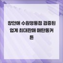 창안애