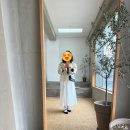 예예포항 이미지