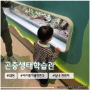 동면 생태친구들 | 대구 근교 아이랑 가볼만한 곳 <의령 곤충생태학습관> 주말나들이 방문후기