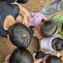 녹야어린이집 이미지