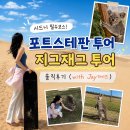 시드니 근교 포트스테판 투어 추천, 지그재그 투어 솔직후기 (with Jay가이드)