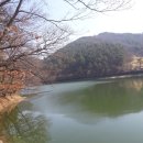 치유약국 이미지