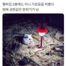 양평민물