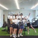 헬로바디핏 이미지