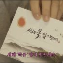 머슬데몬 | BALI, y_our perfect trip