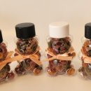 댕댕파티 이미지