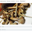 동아리치킨